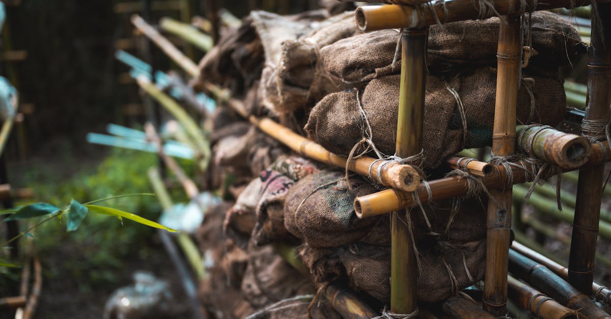 Bamboo Stakes Strong, Eco-Friendly Plant Support Tips