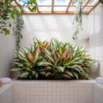 Bathroom Makeover